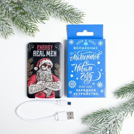 New Year's charger "Real Men", 2500 MAH-11