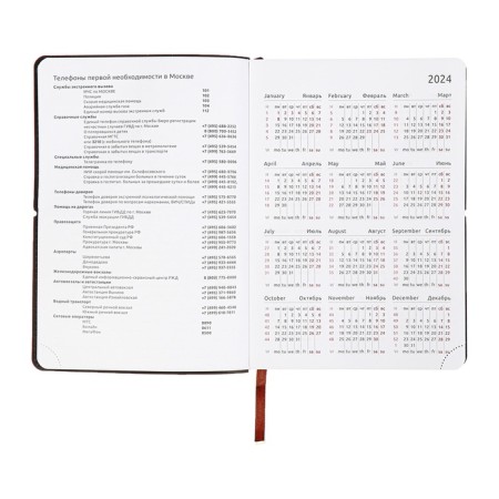 Dated diary 2025, A5 168 sheets, Devente. Saltos, soft leatherette cover, perforation, liesse, block 70, brown-11