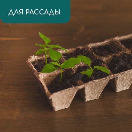 Peat cassette, 8 cells of 250 ml, 7 × 7 cm-3