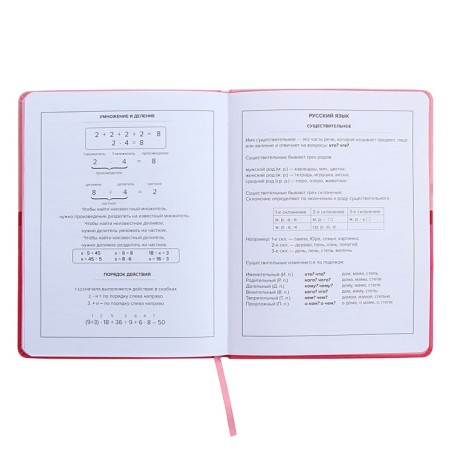 Universal Grade 1-11 Diary, 48 pink sheets, firm artificial leather cover, pancake embossing, liesse-12