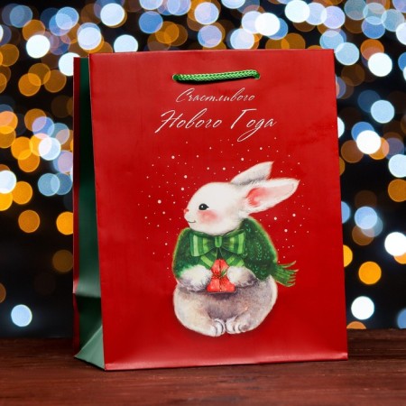Gift Package "Happy New Year. Zaika", 18 x 22.3 x 10 cm-2