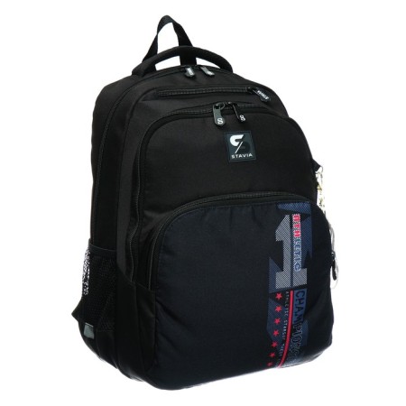 Youth backpack, 42 ​​x 31 x 13 cm, ergonomic back, Stavia "Champion", black-1