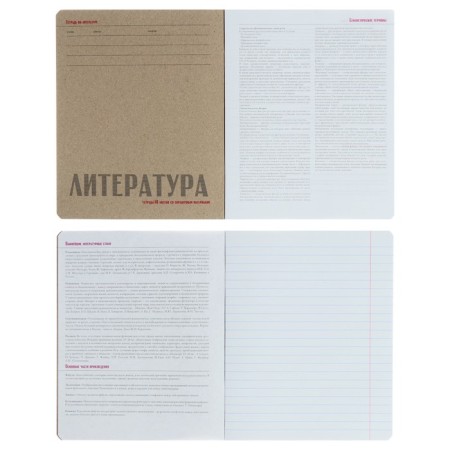 The subject “New Classics”, 48 sheets in the Literature “Literature”, Cardboard Cover, VD-LIK-1