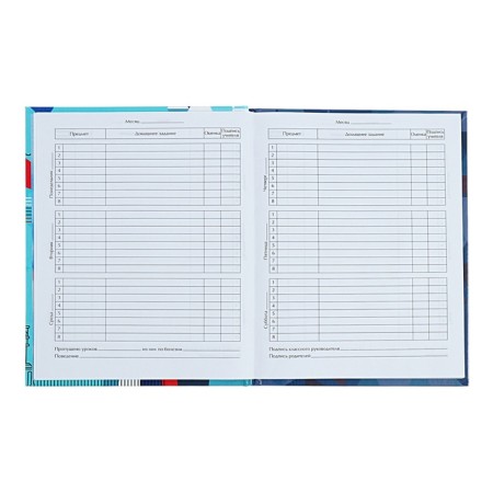 Universal Dodevink 1-11 Grade "Diary of a Russian schoolboy", 48 sheets, a solid cover, glossy lamination, liesa, an offset unit-9