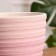 Pot Flower Boule up Pink Crocus No. 3, 2.3 L, D - 17.7 cm