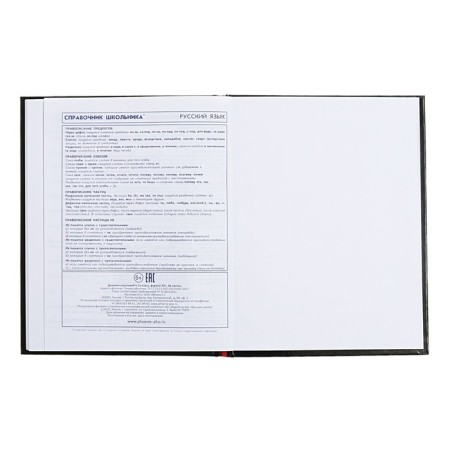 Diary for grades 5-11, 48 sheets "many cats", solid cover, glossy lamination, foil embossing, universal cheat sheet, block 65g/m2-12