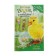 Magic stories about animals. Ellie duckling, or stolen holiday. Medous D.