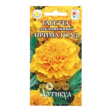 Tagetes flowers 
