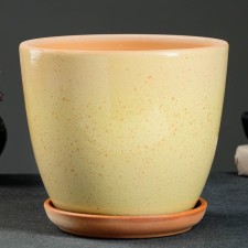 Flower pot 