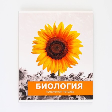 An objective note 48 sheets, A5, objects, with reference materials “September 1: Biology”, cover coated cardboard 230 gr., Inner block in a cage 80 gr., Whiteness up to 80%, block No. 2.-6