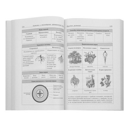 Biology in diagrams and tables. Sadovnichenko Yu. A., Iontseva A. Yu.-6