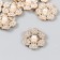 Decor for creativity plastic, rhinestones "Golden flower with bead" set 10 pcs 3x3 cm