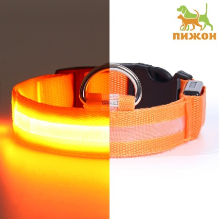 Collar with backlight size S, Osh 35-43 x 2.5 cm, 3 lumines of the glow orange
