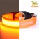 Collar with backlight size S, Osh 35-43 x 2.5 cm, 3 lumines of the glow orange