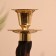 Liana candlestick 27.5 cm, shisham tree