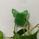 Mounts for climbing plants, 4*4 cm butterfly (set 10 pcs) self -adhesive