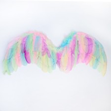 Angel wings 77 × 55 cm