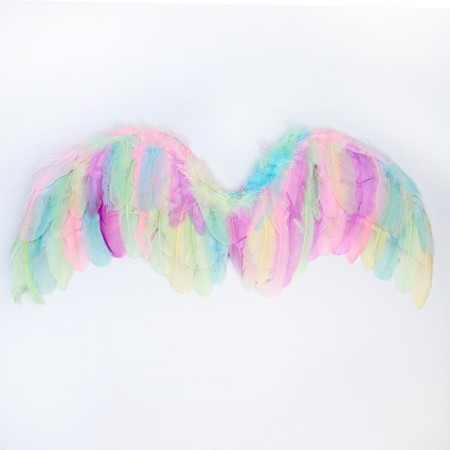 Angel wings 77 × 55 cm