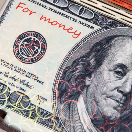 Barrier "dollar", 18 × 10 × 3 cm-5