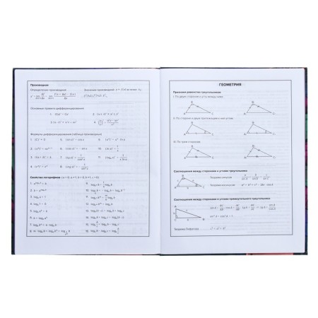 Universal Grade 1-11 Diary, 48 Graffiti sheets, integral cover, matte lamination, selective UV-fluid, congructor-9