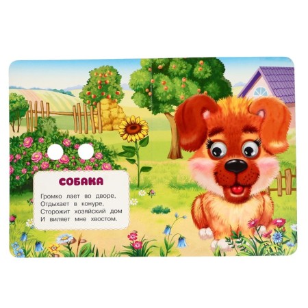 Book with the Placks "Fluffy Friends", Stepanov V.A.-3
