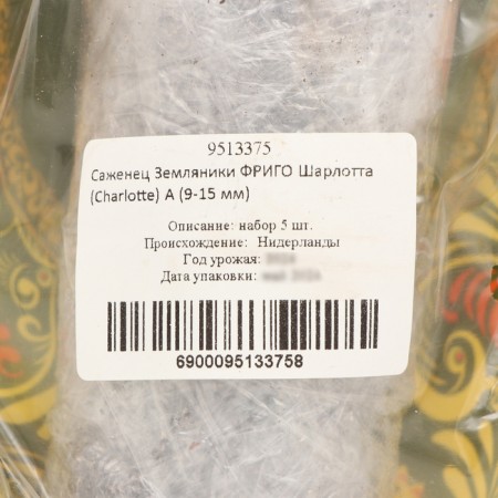 Frigo Charlotte Strawberry seedlings (Charlotte) a (9-15 mm), 5 pcs-3
