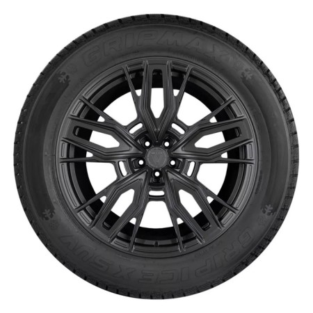 Winter NesyPatable Gripmax Grip Ice X SUV 225/55 R18 102H-1