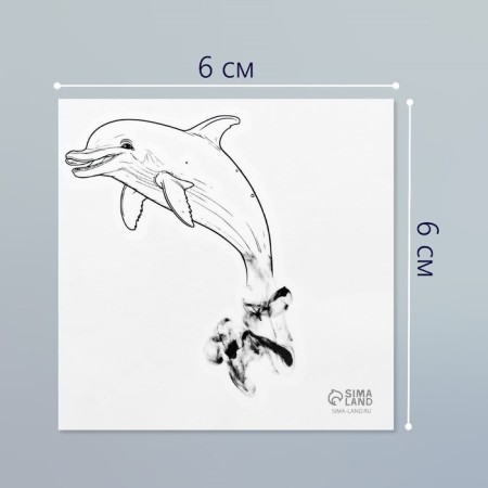 Black body tattoo “Black. Dolphin” 6x6 cm-1