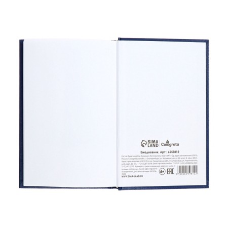 Deliciper of Leduced A5, 160 sheets, boumvinyl cover, blue-12