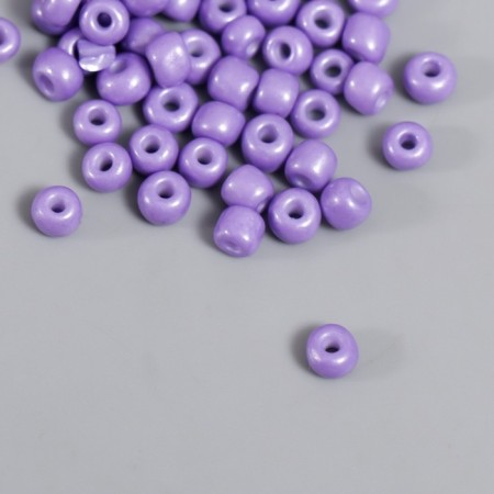6/0 round beads in the bottle "Wisteria" 20 g-2