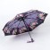 Automatic umbrella "Olivia", Eponge, 3 additions, 8 spokes, r = 47 cm, color mix
