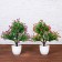 Bonsai in the pot "Small flowers" 9x25 cm, mix