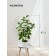 Decorative plant in a ceramic pot "Mini tree", 13.5 × 13.5 × 61 cm