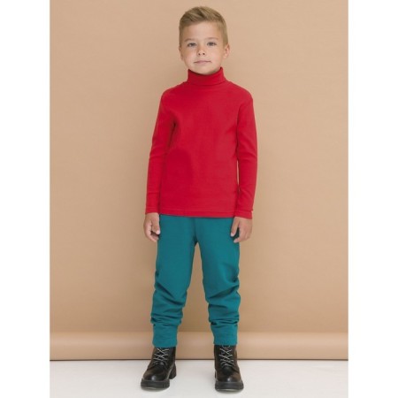 Turtleneck for the boy Pelican, height 110 cm, red color-3