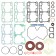 Set of gaskets with seals, SKI-doo, OEM 420894265