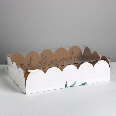Bearbox, confectionery packaging with PVC lid, “craft”, 20 x 30 x 8 cm-1