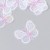 Lilac-white