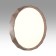 Lamp ZIF Wood LED 70W 3000-6000K D485 IP43, with PDU