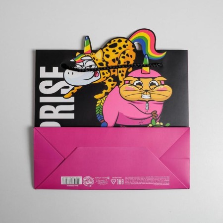 Gift package, packaging, SurPprise, 25 x 26 x 10 cm-3