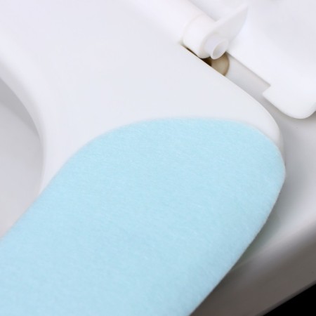 The sticker for the toilet is plain, 2 pcs (blue)-3