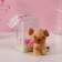 Set gift "dog Bezh" soap pink roses 5 pcs, dew 7x7x12 cm