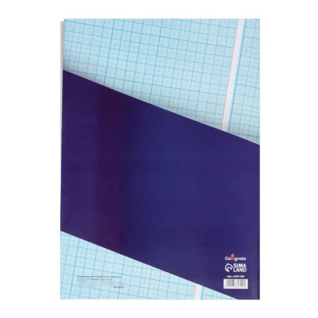 Large-scale-cordial A3 paper 10 sheets of Calligrata, blue mesh-1