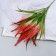 Bouquet "Decorative fern" 32 cm, mix