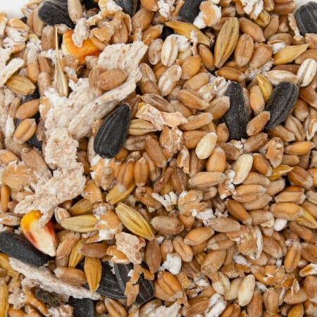 Fodge mixture "Eshka" for chinchillas, 450 g-2