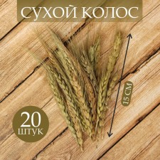 Dry Colossus of wheat, set 20 pcs.