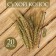 Dry Colossus of wheat, set 20 pcs.