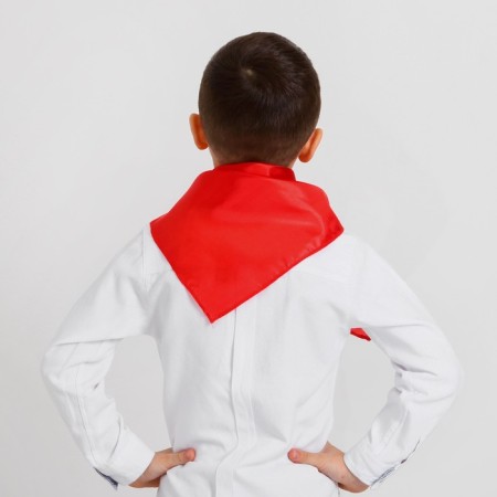 Pioneer tie, red color-1