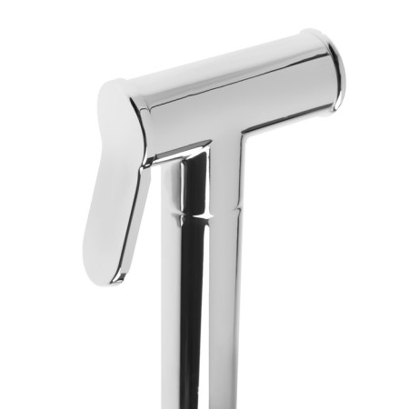 Hygienic watering can Zein Z4163, 1 mode, zinc, color chromium-4