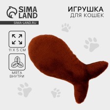 A cat's toy 