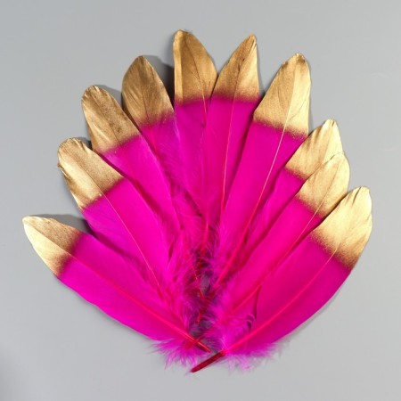 A set of goose feathers 15-20 cm, 10 pcs, fuchsia with a golden tip-1